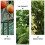 2Pcs Green Iron Vine Climbing Stand Practical Garden Plant Support 6