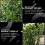 2Pcs Green Iron Vine Climbing Stand Practical Garden Plant Support 8