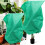 Green Nonwoven Plant Covers For Winter 3