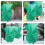 Green Nonwoven Plant Covers For Winter 5