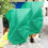 Green Nonwoven Plant Covers For Winter 6