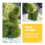 Easter Rabbit Ornament Cactus Succulent Planter Home Decor 4