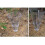 3Pcs Plastic Garden Rain Gauges Cone Shape for Accurate Measurement 8