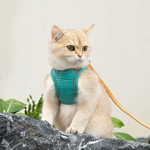 Strap Walking Leash Vest Harness Pet Anti Style 2