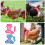 2Sets Pet Rooster Harness Pulling Rope Soft Fabric Chicken Leash Set 5