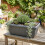 Large Trough Athens Trough Planter 70cm Grey Durable Plastic Window Box 3