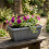 Large Trough Athens Trough Planter 70cm Grey Durable Plastic Window Box 5