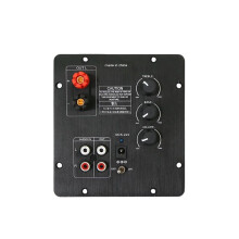 TPA3116 Subwoofer Actieve Luidsprekerversterkerkaart Digitale Actieve Versterkerkaart Pure Bass Home Audio Versterkerkaart