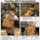 Firewood Carrier Bag Canvas 110x45cm, 25.3oz 5