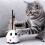 Interactive Cats Toy Interactive Teaser Rechargeable Toy for 4