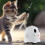 Interactive Cats Toy Interactive Teaser Rechargeable Toy for 6