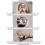 Forearm Gyro Ball Wrist Exerciser Auto Starting Wrist Strength 5