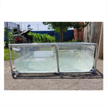 Transparent Above Ground Pool with Stainless Steel Frame, Clear View Walls, Quick Tool Setup