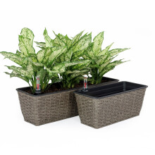 2Pack Self Watering Rectangular Planter Box, Indoor Outdoor Wicker Flower Pot with Drainage Plug, Weather Resistant Dark Gray