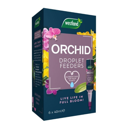 Westland Westland Orchid Droplet Feeders 6 Pack