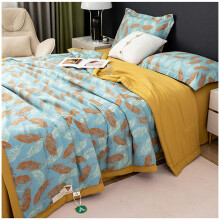 Queen Size Cotton Quilt, Lightweight Reversible Comforter with Breathable Linen Fabric, Soft All Season Bedspread 180x220cm
