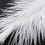 10 Pieces White Natural Ostrich Feather 20-25cm Wedding DIY 8