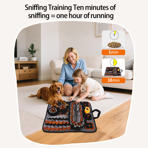 Jouet à renifler pour chien, tapis de distribution de 1