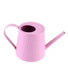 Iron Watering Can and Metal Flower Pot 2 in 1 Design Durable Iron Planter for Indoor Outdoor Decor
