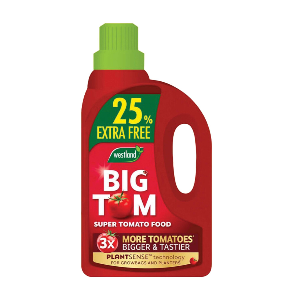Westland Big Tom Tomato Food 1L + 25% Extra Free