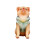 Modèle Miniature pour animaux de compagnie à-garçon chien de pin 1
