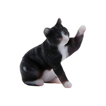 Huisdier sculptuur unieke- Met de hand grootgebrachte wasbeer