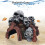 Novelty Skull Cave Fish Tanks Centerpieces Resins Structures For 4