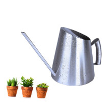 Stainless Steel Watering Can with Long Spout, Brushed Finish Indoor Plant Watering Can for Succulents