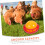 Automatic Chicken Feeder and Waterer Kit with WasteReducing Feed Tray and Easy Clean Design 2
