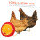 Automatic Chicken Feeder and Waterer Kit with WasteReducing Feed Tray and Easy Clean Design 5