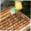 2pcs Green Queen Marking Bottle Lightweight Plastic Beekeeping Tool for Easy Queen Identification 5