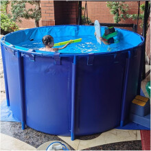 Reinforced PVC Canvas Above Ground Pool, Foldable Frame Pool for Backyard Family, Quick Setup Design