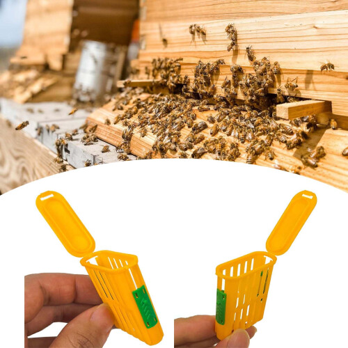Beekeeping Trap Cage with Fast Capture System, Secure Locking Design and Lightweight Portable Build 1