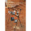 Camping Cookware Hanging Rack with Adjustable Hooks, Foldable Lightweight Aluminum Tripod Cooking Stand 4