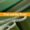 4' x 10' Canvas Tarp with Rustproof Grommets, 25 Mil Thick, UV Resistant 4