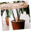 2pcs Self Watering Globes for Potted Plants Automatic Water Release Durable Pottery Design 4