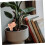2pcs Self Watering Globes for Potted Plants Automatic Water Release Durable Pottery Design 5