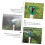 2pcs Garden Sprinkler Automatic 360 Rotation LowPressure Wide Coverage Lawn Irrigation Easy Setup 5
