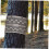 Weatherproof Tree Trunk Protector Wrap for Young Saplings, Reusable UV Resistant Tree Guard for Garden 5