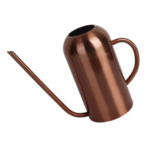 Stainless Steel Watering Can with Ergonomic EasyPour Handle for Indoor and Outdoor Plant Care