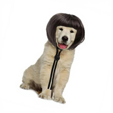 Dog Wigs with Bangs Hat Headwear for-Dog Bob Hair