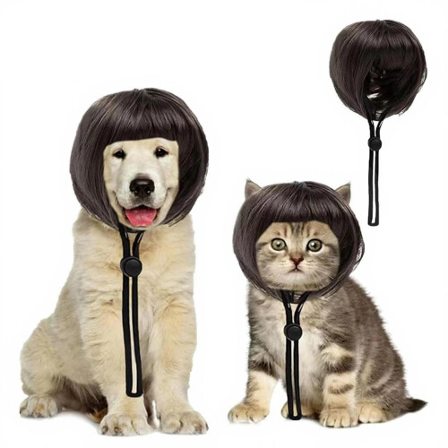 Postiche Bob pour perruques de-Chat Bob aux oreilles ouvertes h 1