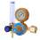 Argon CO2 Flow Regulator 0-25MPa, 0.15MPa Color 10