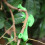 Professional Garden Support Shaper Tool For Tree Training-5 4