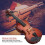 Exquisite Mini Violin with Stand for Display 12