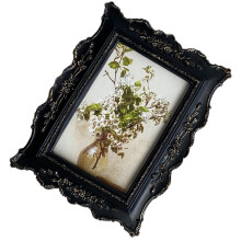 Vintage fotolijst, decoratieve fotolijst, antieke-6 inch