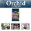 Westland Westland Orchid Potting Mix 8L 4
