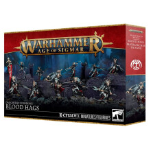 Games Workshop Warhammer Age of Sigmar Daughters of Khaine: Blood Hags 85-66