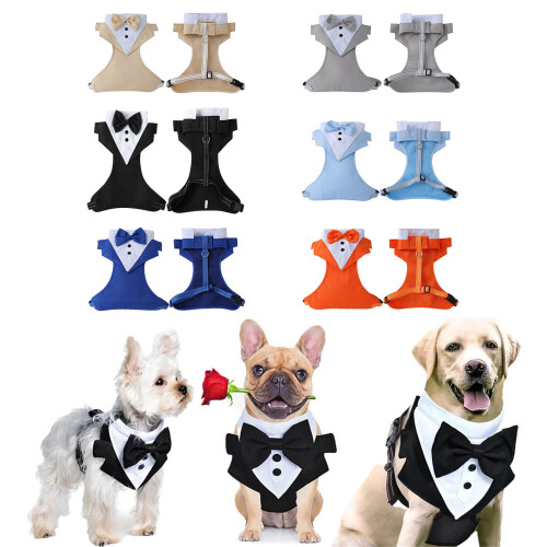 Harnais pour chien Easy Walk pour petits chiens,-Noir S 2