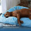 Lit pour chats, coussins doux pour petits et grands chats,-S 6